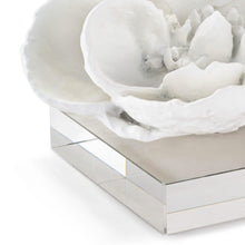 Load image into Gallery viewer, Magnolia Objet (White) by Regina Andrew
