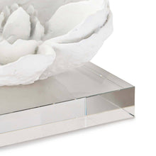 Load image into Gallery viewer, Magnolia Objet (White) by Regina Andrew
