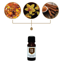 Load image into Gallery viewer, No. 11 Amber Cinnamon Home Fragrance Diffuser Oil
