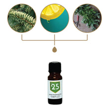 Load image into Gallery viewer, No. 25 Evergreen Citrus Home Fragrance Diffuser Oil
