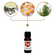 Load image into Gallery viewer, No. 54 Mandarin White Tea Home Fragrance Diffuser Oil

