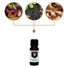 Load image into Gallery viewer, No. 9 Black Fig Cassis Home Fragrance Diffuser Oil
